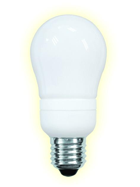 LAMPE FLUOCOMPACTE BULB E27