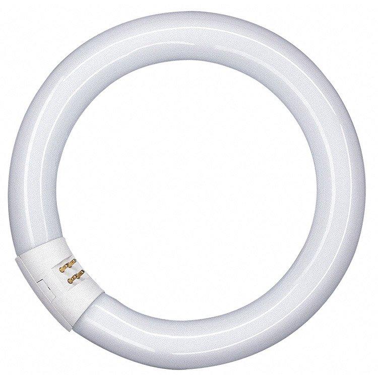 TUBE FLUO CIRCULAIRE G10q