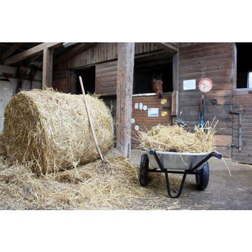 HAEMMERLIN 306015201 Brouette EXPERT TWIN Premium galva à roues gonflées 150 l