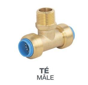 TOUTPUSH TÉ MALE