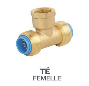 TOUTPUSH TE FEMELLE