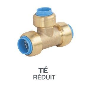 TOUTPUSH TÉ RÉDUIT