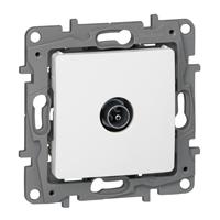NILOE / PRISE TV MALE STANDARD