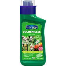 AEROSOL COCHENILLES EN 200 ML