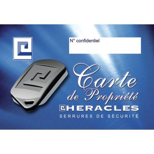 Poignée magnétique grand modèle palière - PVD SALOME SE