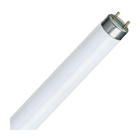 TUBE FLUO T8 LUXLINE