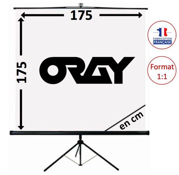 ECRAN DE PROJECTION MURAL
