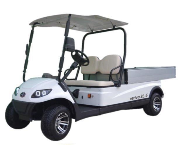 VEHICULE ELECTRIQUE