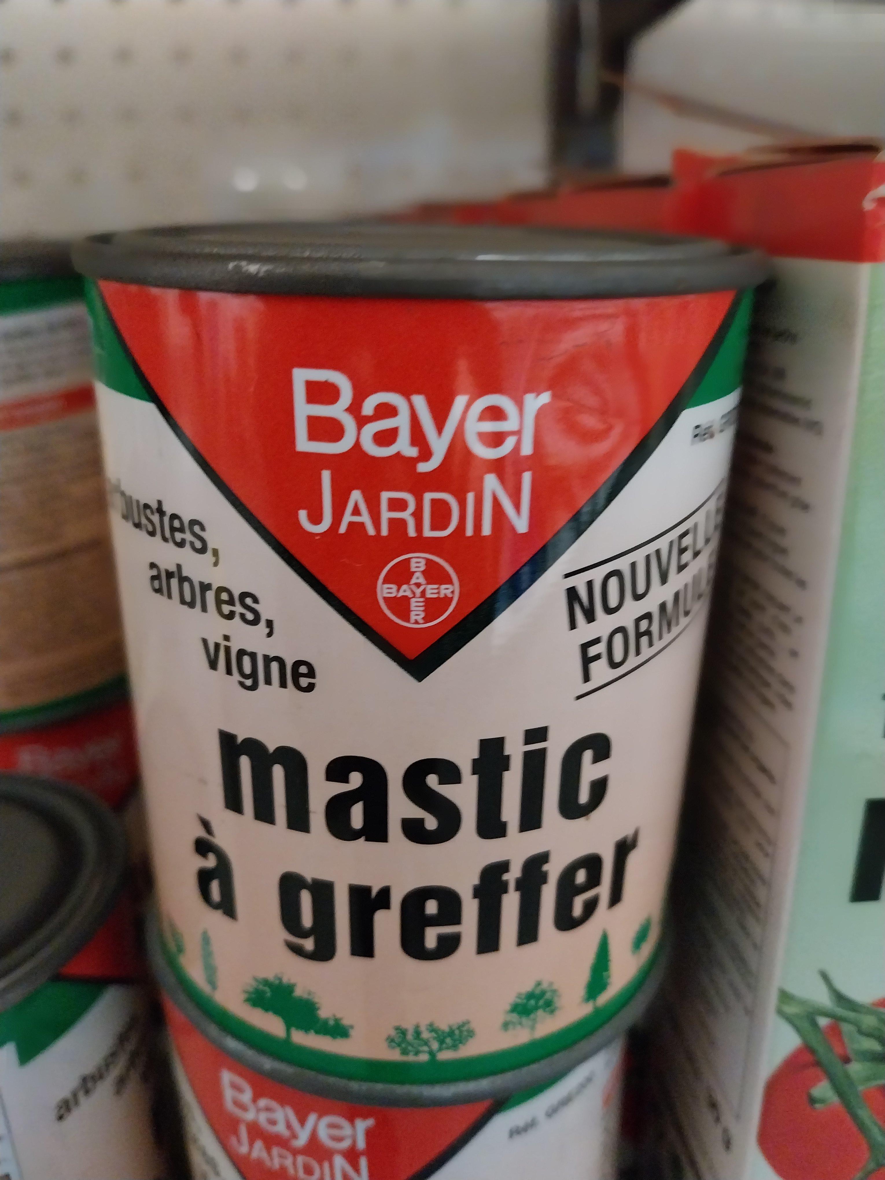 MASTIC A GREFFER EN 200 GR