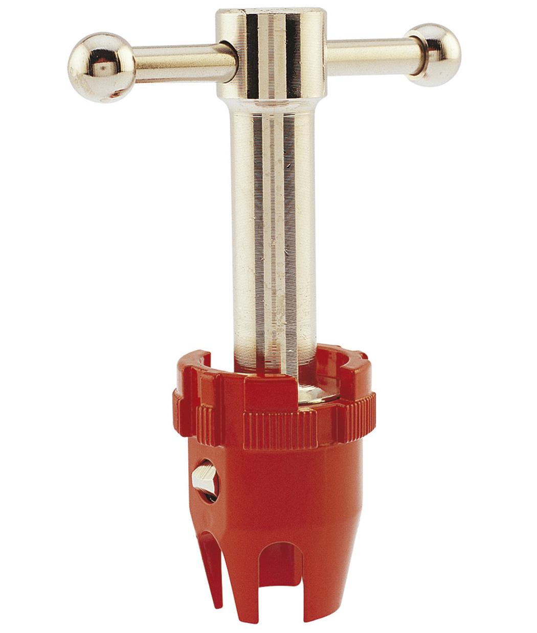 CLE A BONDE ET GAUJON