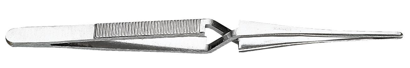 Pince Brucelle modèle droit - Becs croisés