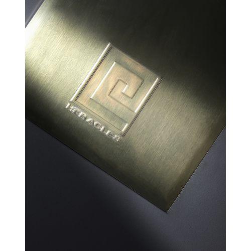 HERACLES G-HR759301 plaque de recouvrement acier laiton poli TS